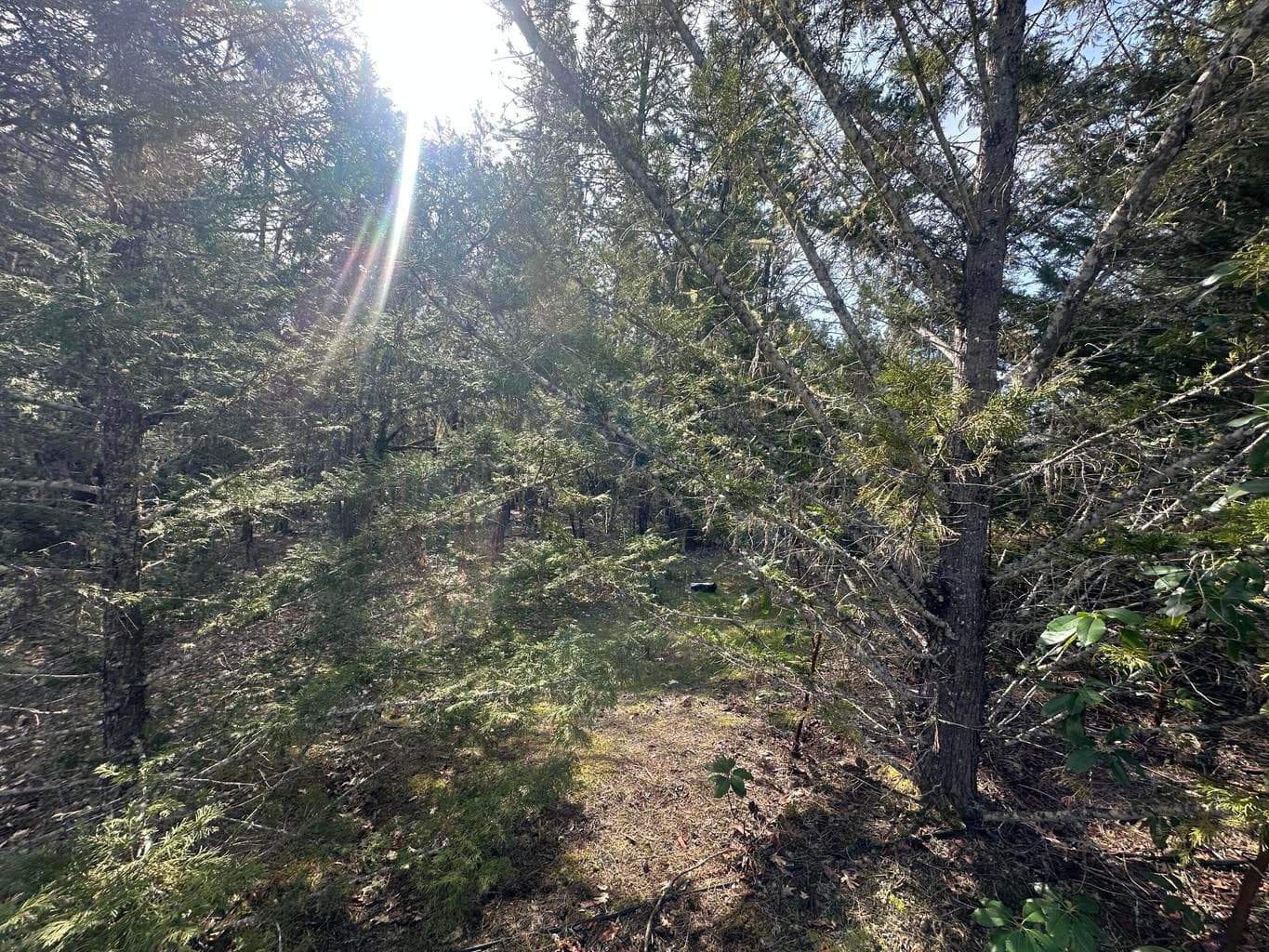 Photo of 235 Eagle Ridge 3 of 3