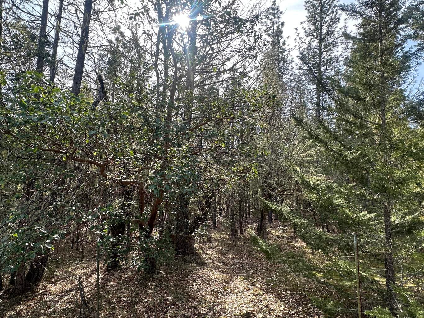 Photo of 235 Eagle Ridge 2 of 3