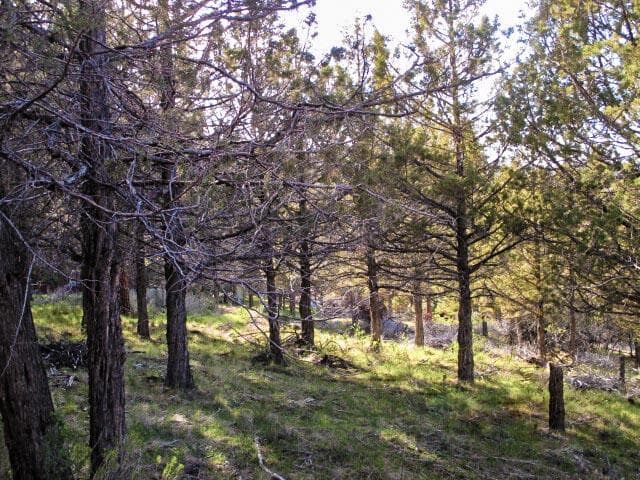 Photo of 0 Pearson Butte 4 of 9