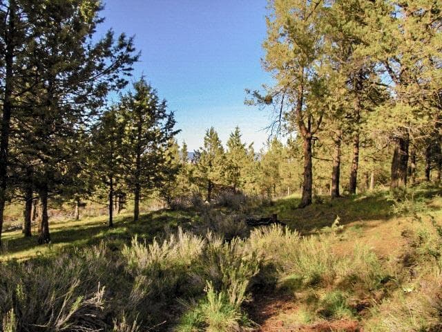 Photo of 0 Pearson Butte 1 of 9
