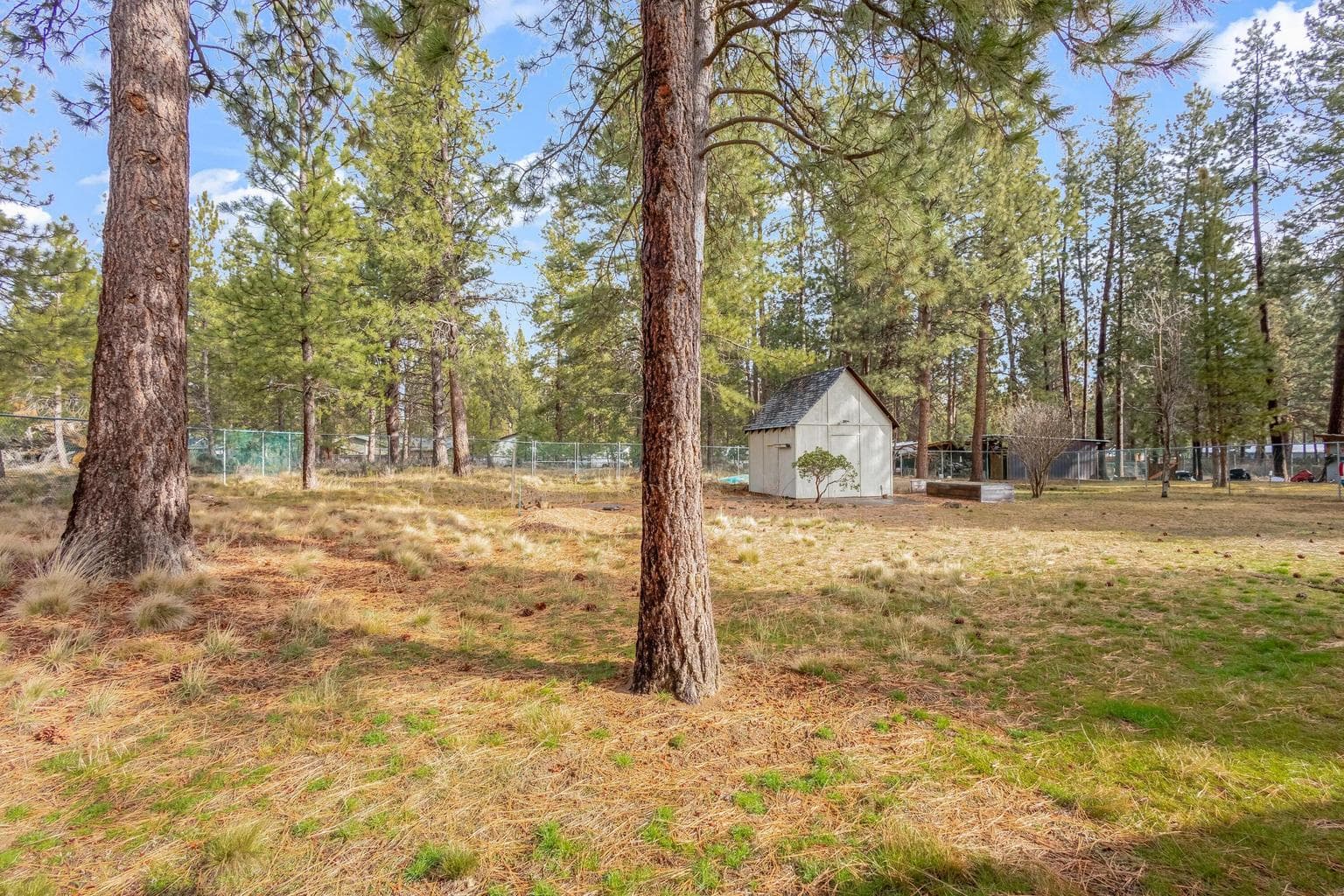 Work from home. Let the dogs run. Host friends under the pines.