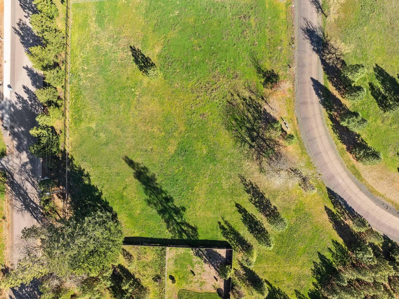 Photo of 595 Forks 5 of 12