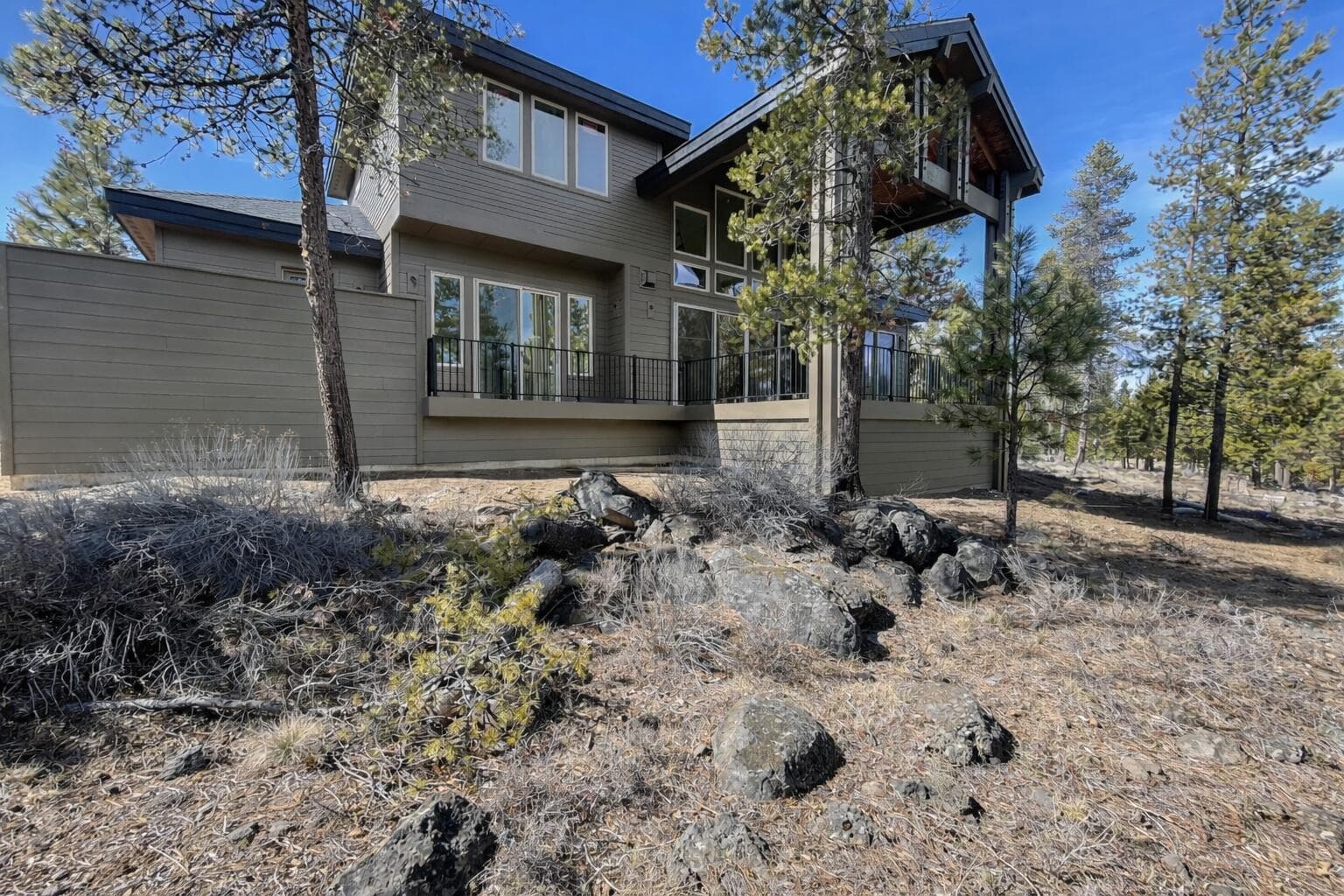 Photo of 57624 Red Alder 2 of 10