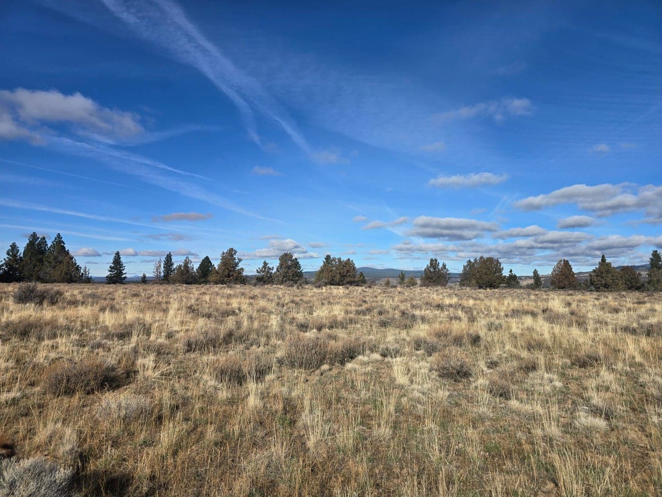Tableland, Sprague River, 97639