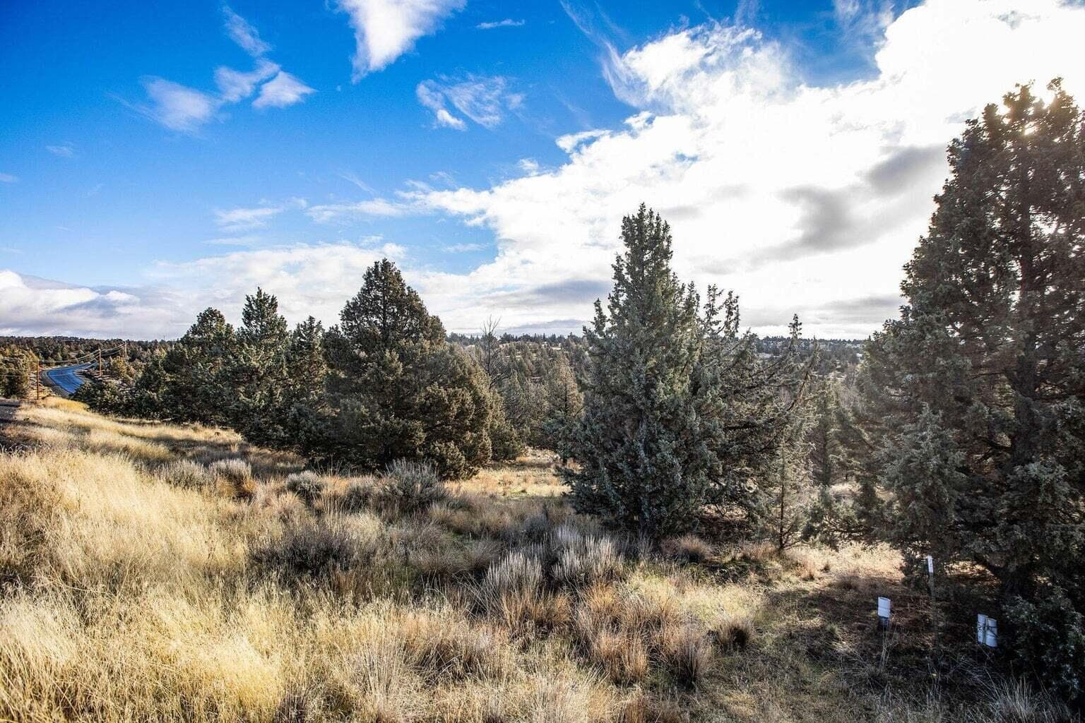 Photo of 2298 Texas 5 of 11