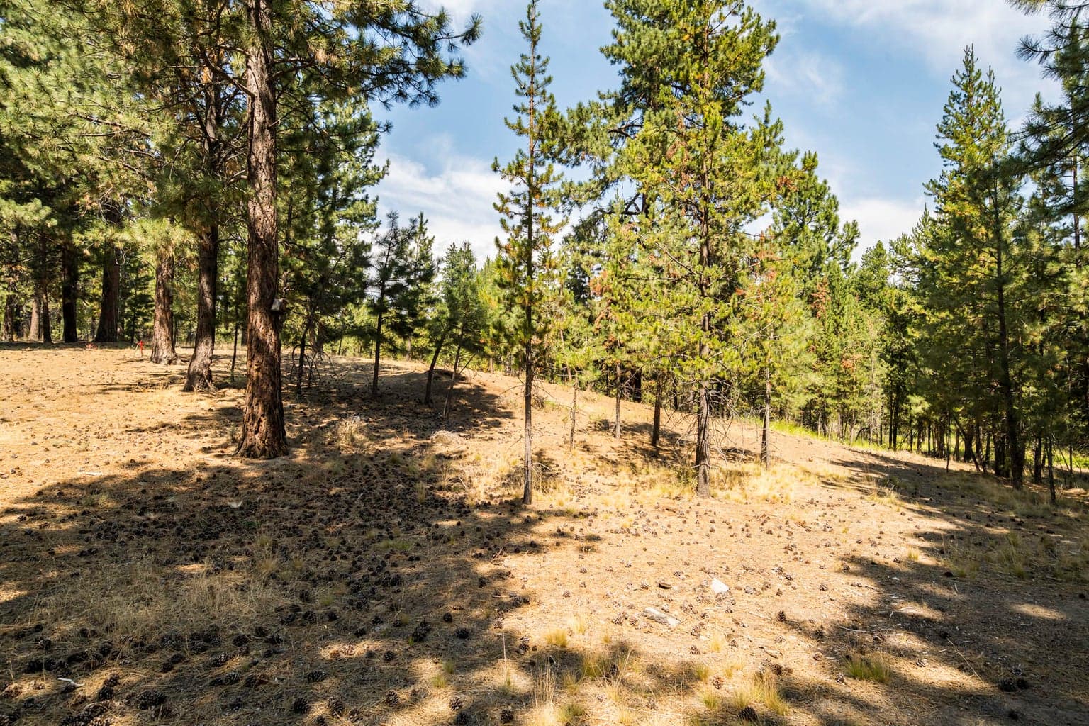 Photo of 15730 Jackpine Road 39 of 43