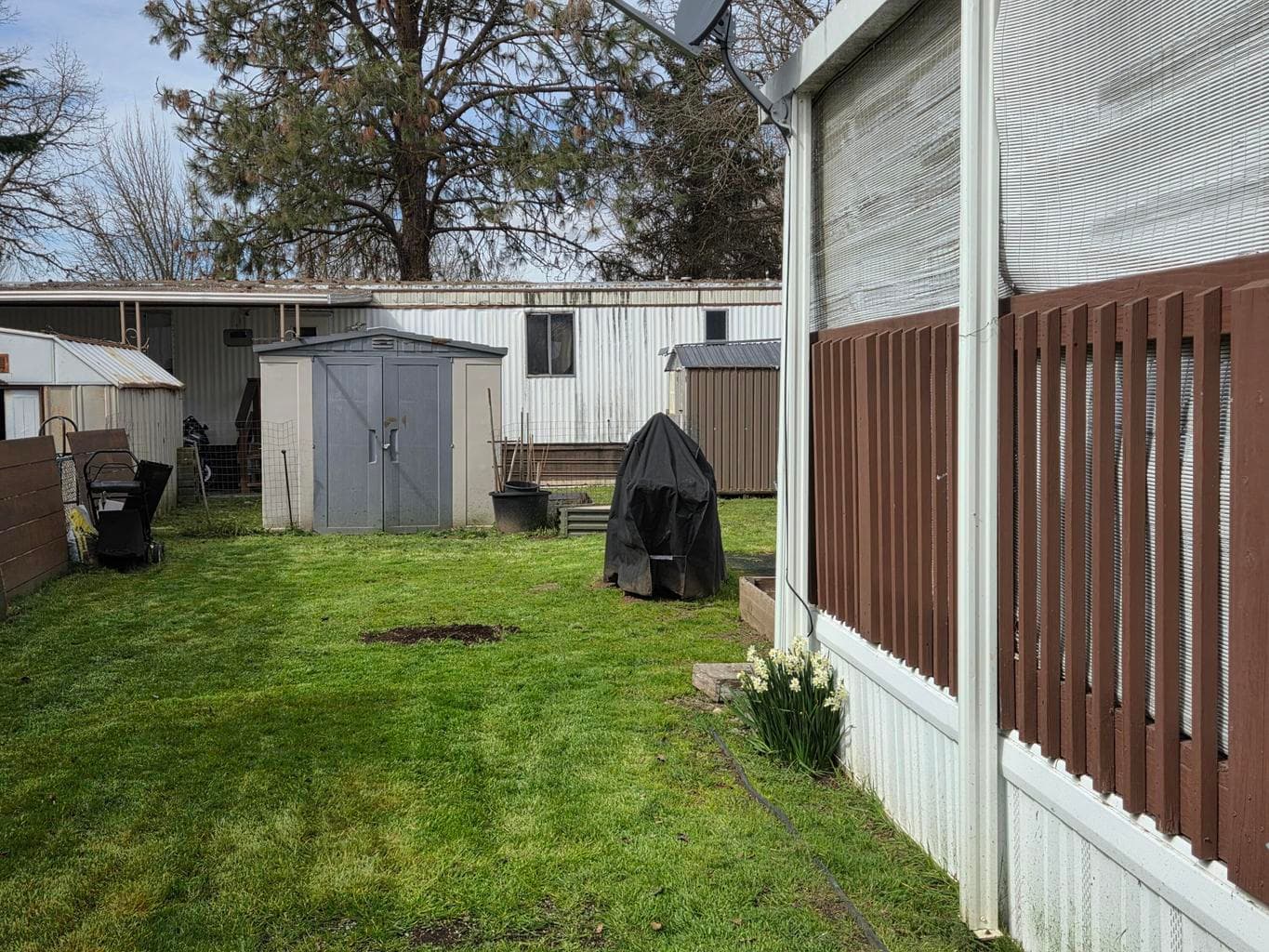 Side lawn area & shed
