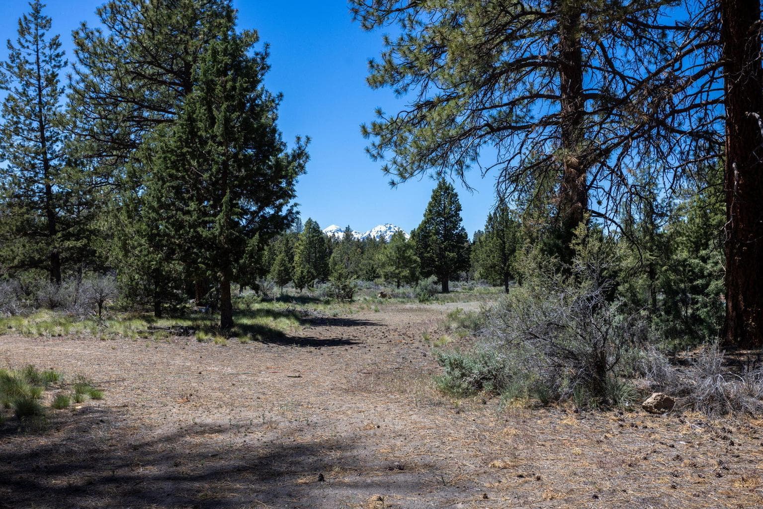 Photo of 18785 Tumalo Reservoir Road 19 of 28