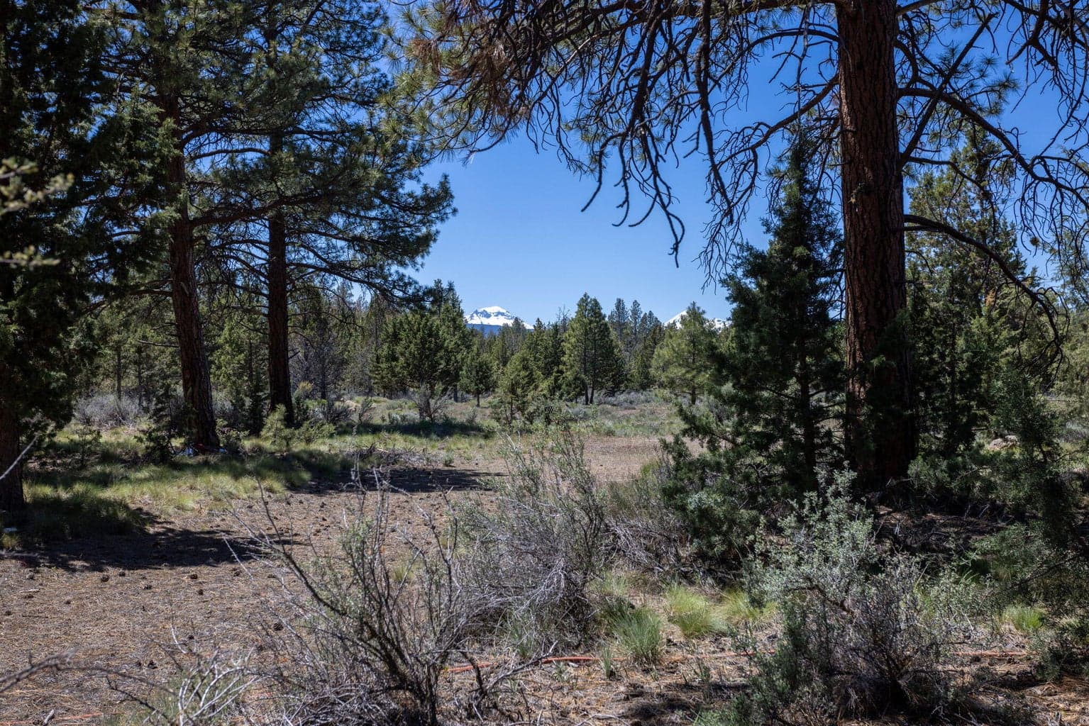 Photo of 18785 Tumalo Reservoir Road 21 of 28