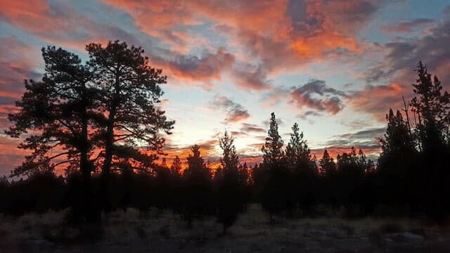 Photo of 18785 Tumalo Reservoir Road 26 of 28
