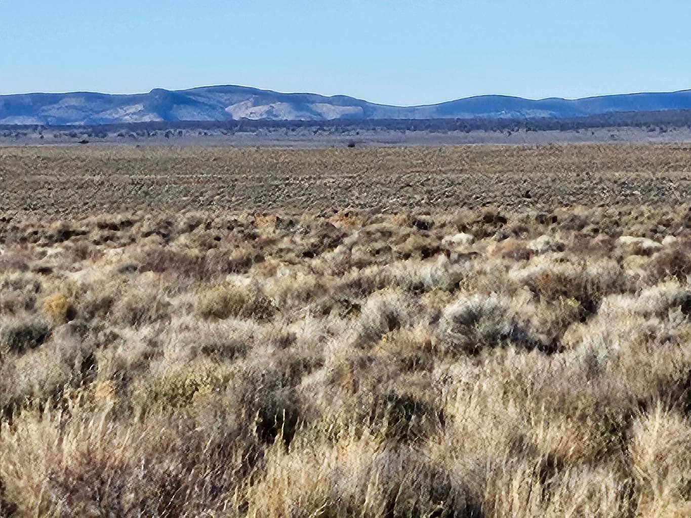 Photo of 34305 Hwy 20 2 of 5