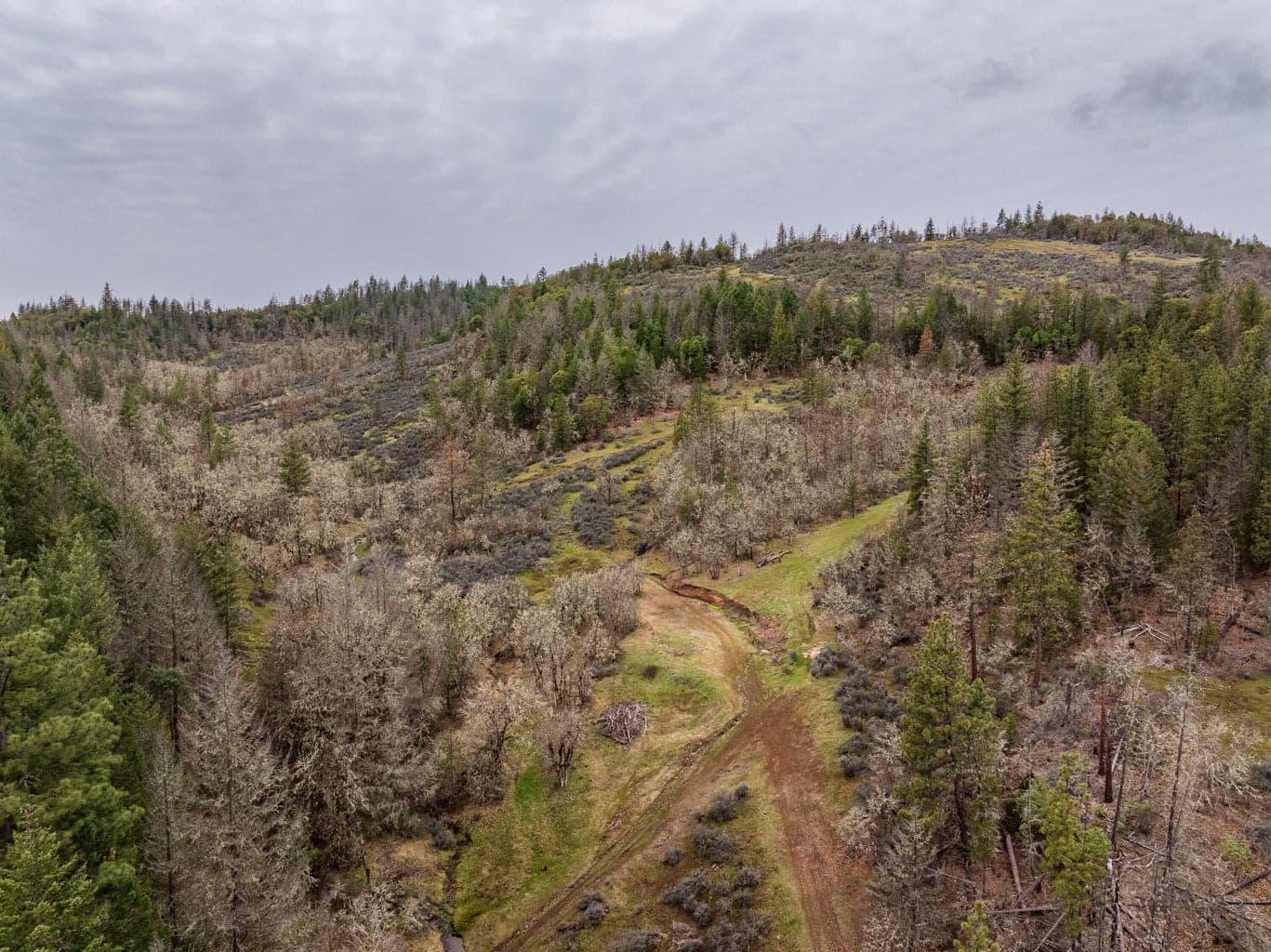 Photo of 2527 Crowfoot 4 of 24