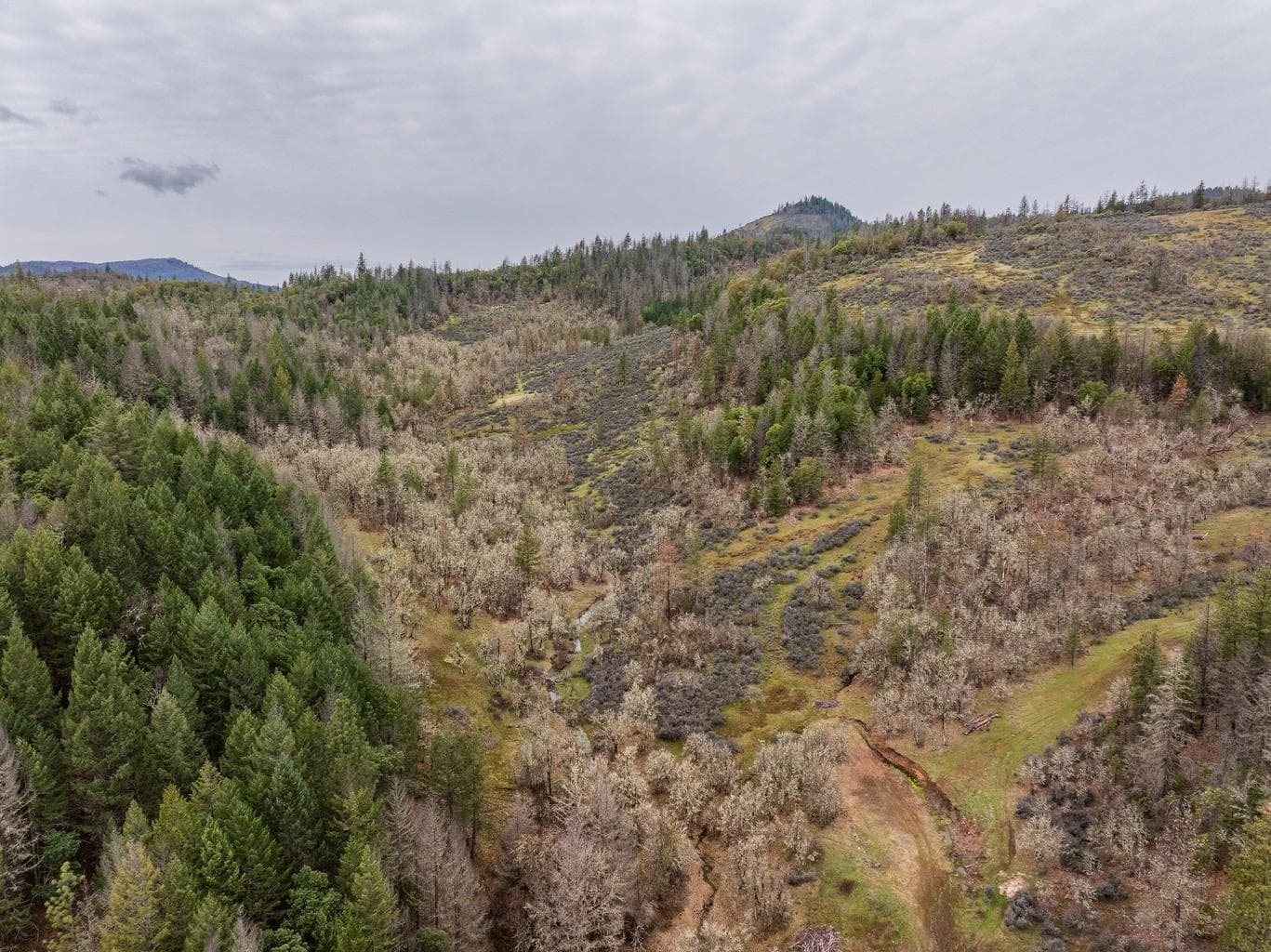 Photo of 2527 Crowfoot 5 of 24