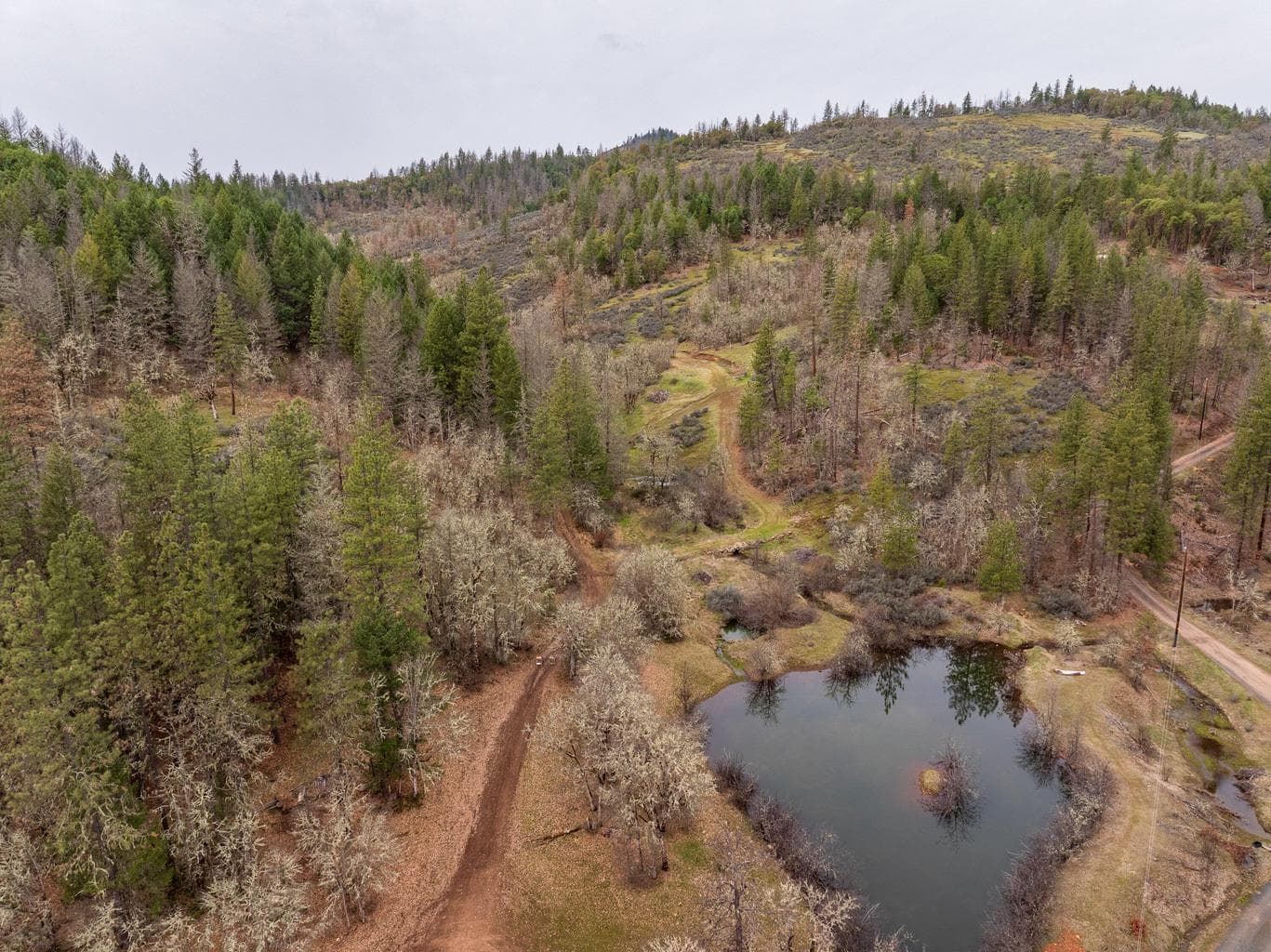 Photo of 2527 Crowfoot 3 of 24