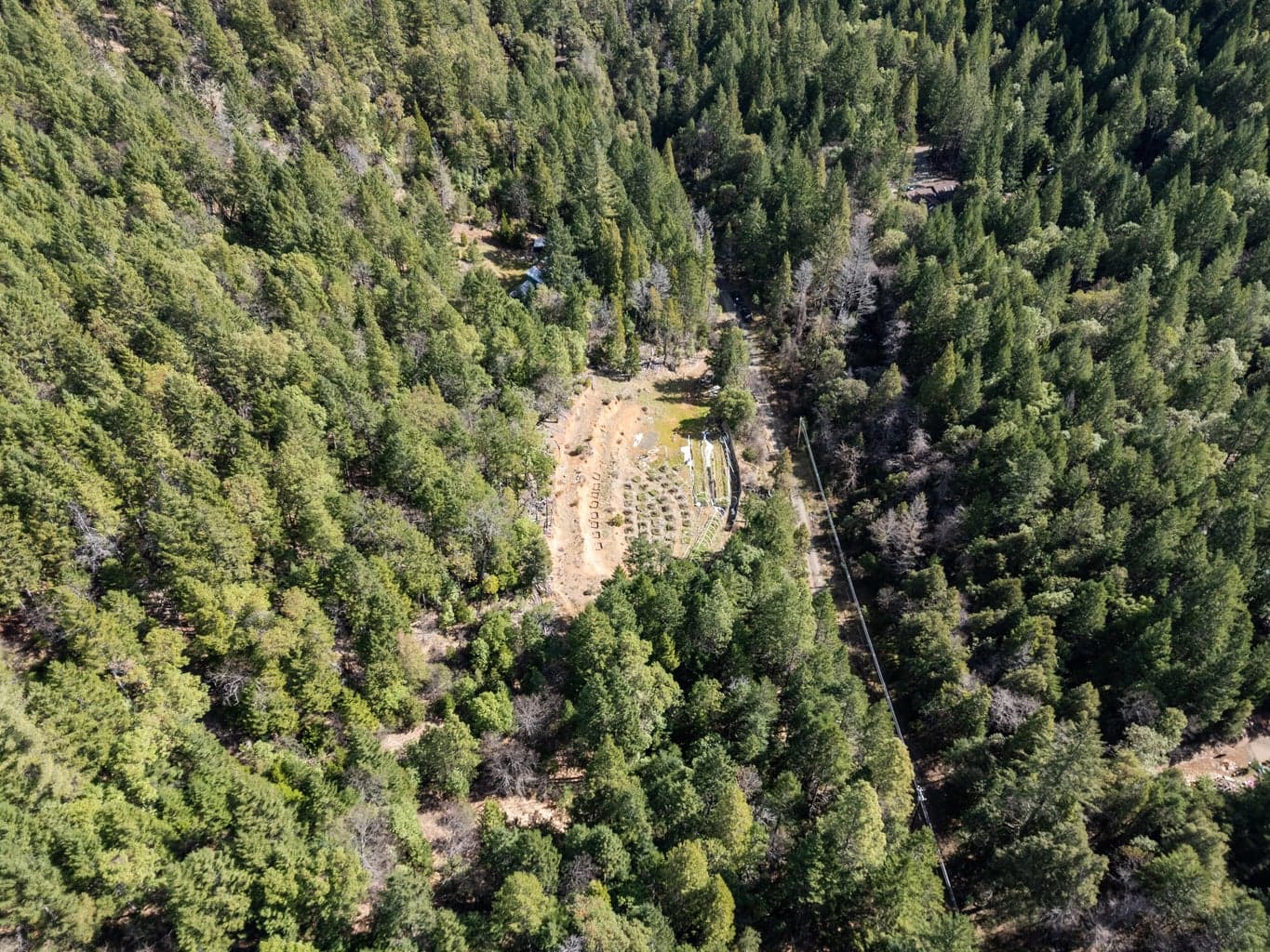 Photo of 1324 Terrace Heights 3 of 24