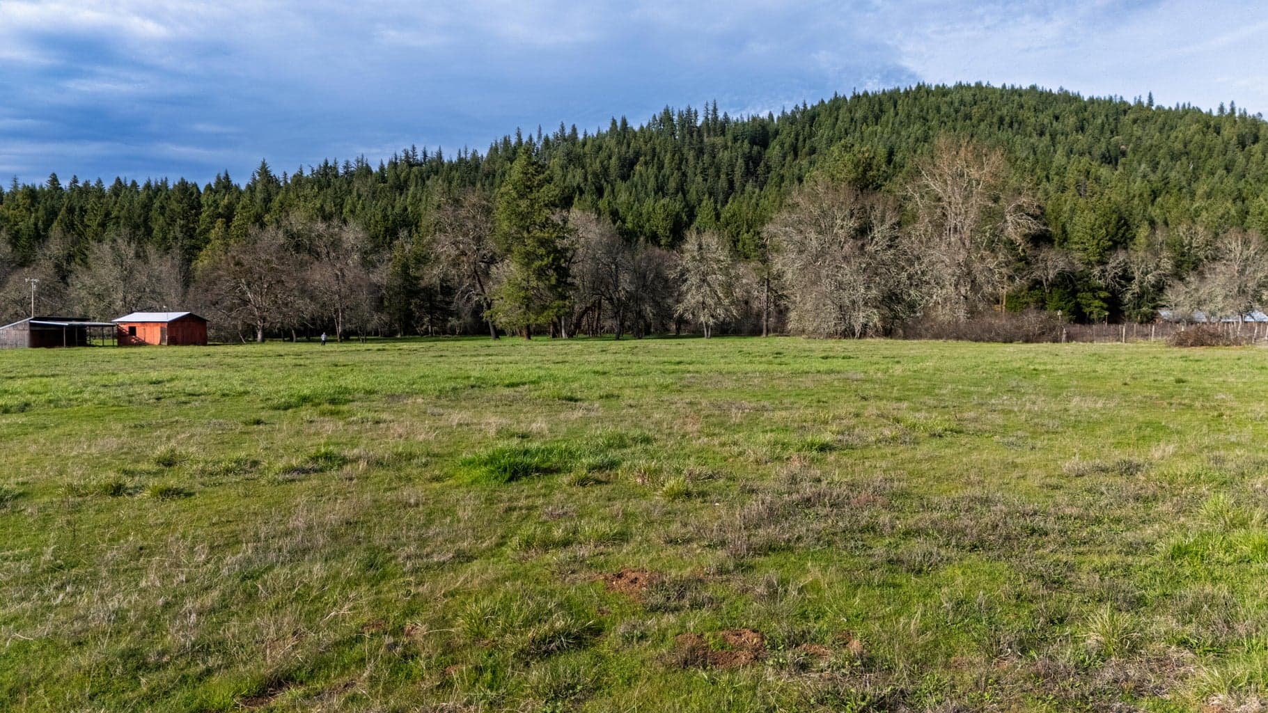 Photo of 5395 Deer Creek 3 of 43