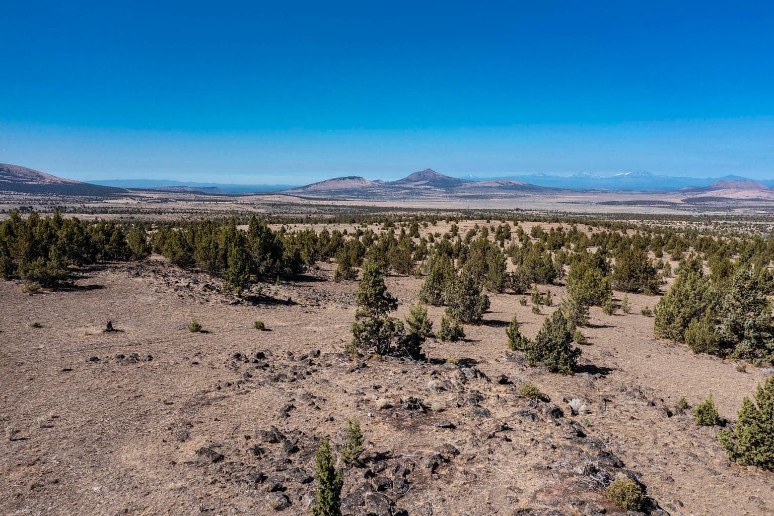 Photo of 0 Grizzly 3 of 28