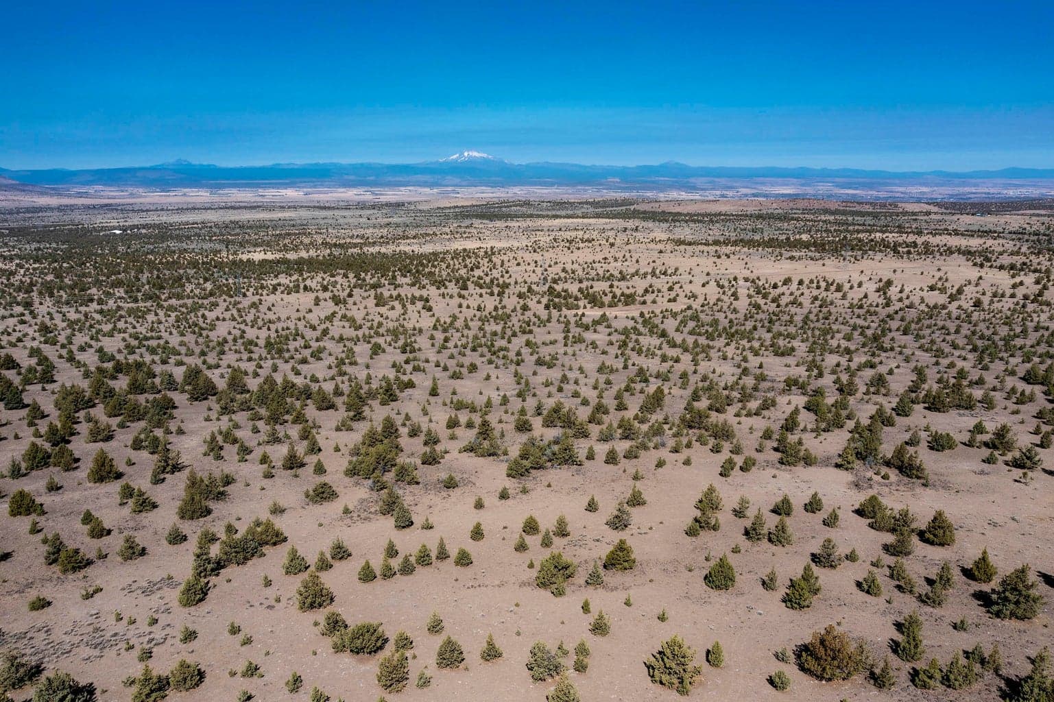 Photo of 0 Grizzly 6 of 28