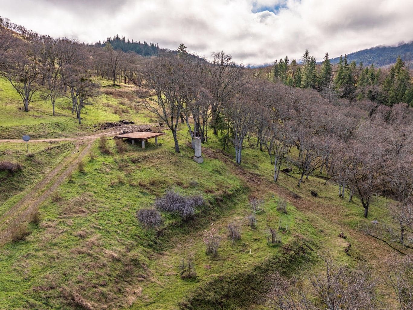 Photo of 3727 Old Siskiyou 4 of 22