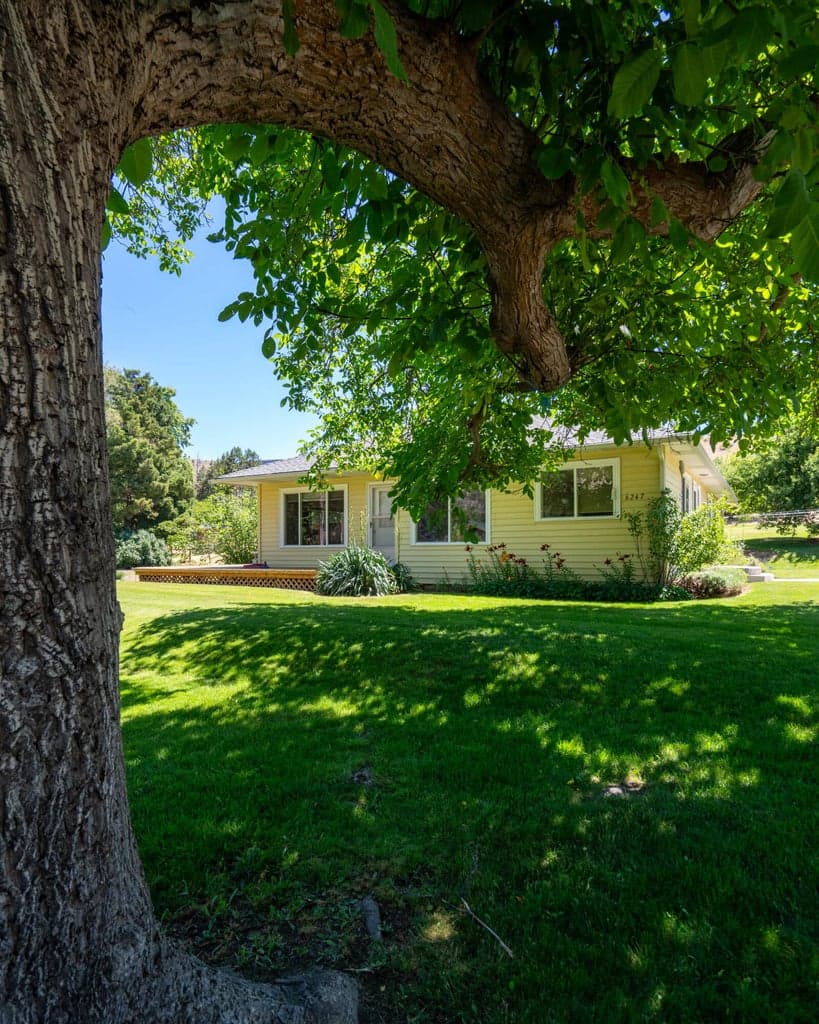 Photo of 6247 Vanora 5 of 52