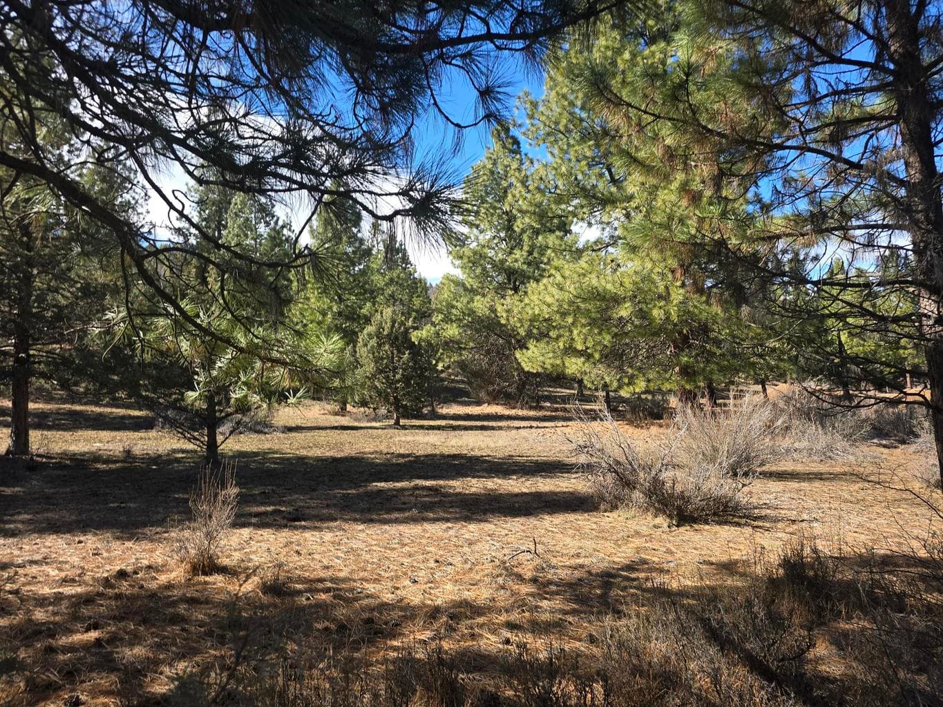Photo of Wilderness 4 of 10