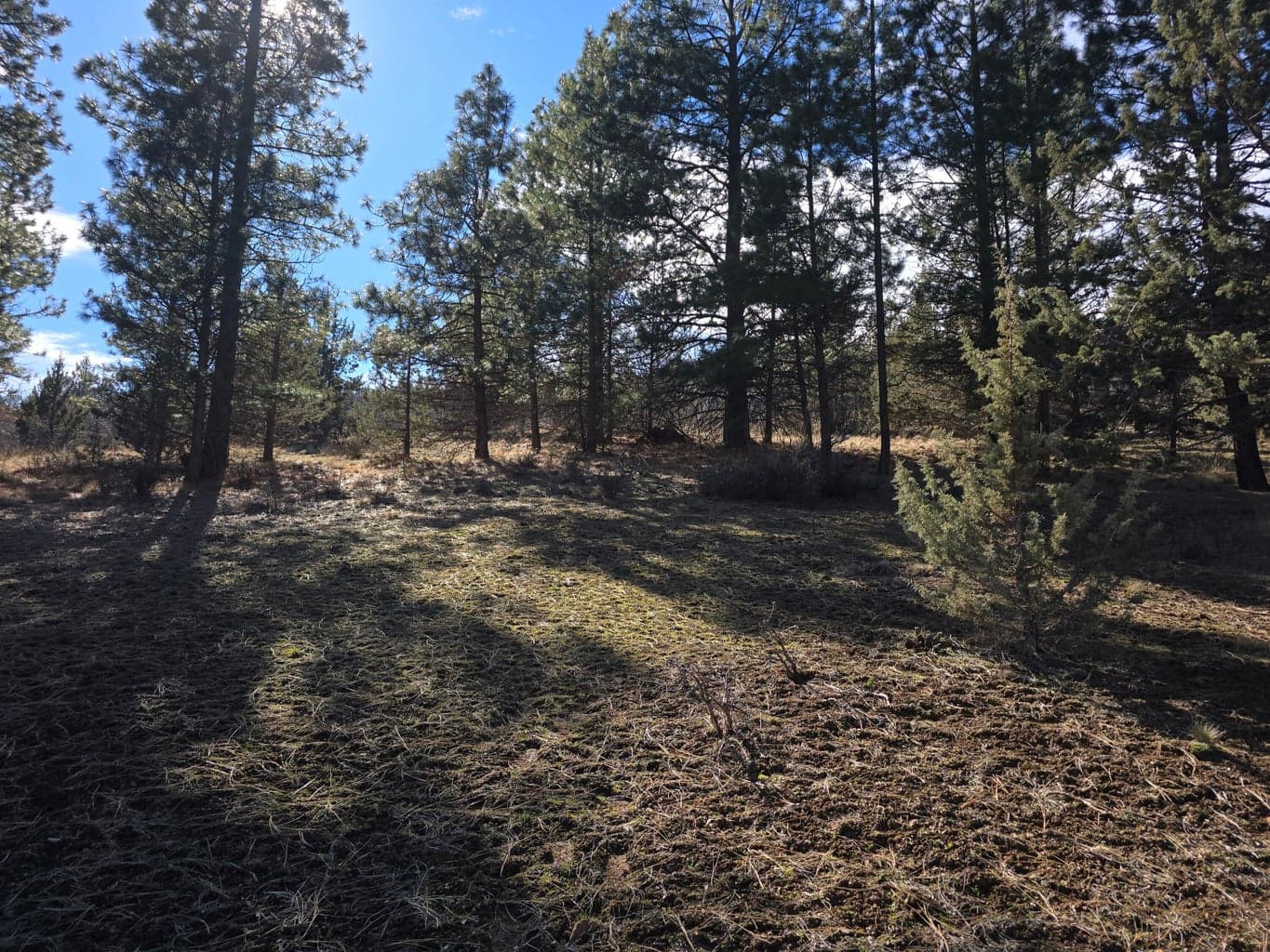 Photo of Wilderness 1 of 10