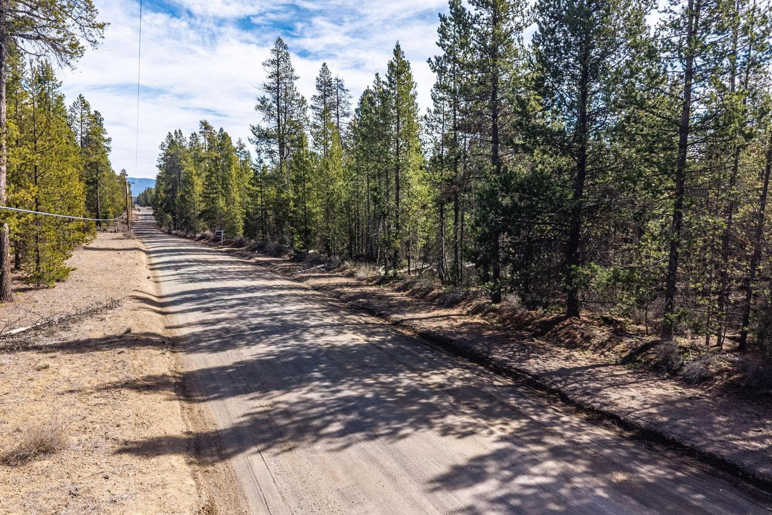 View of the level terrain and forest floor inside the property.