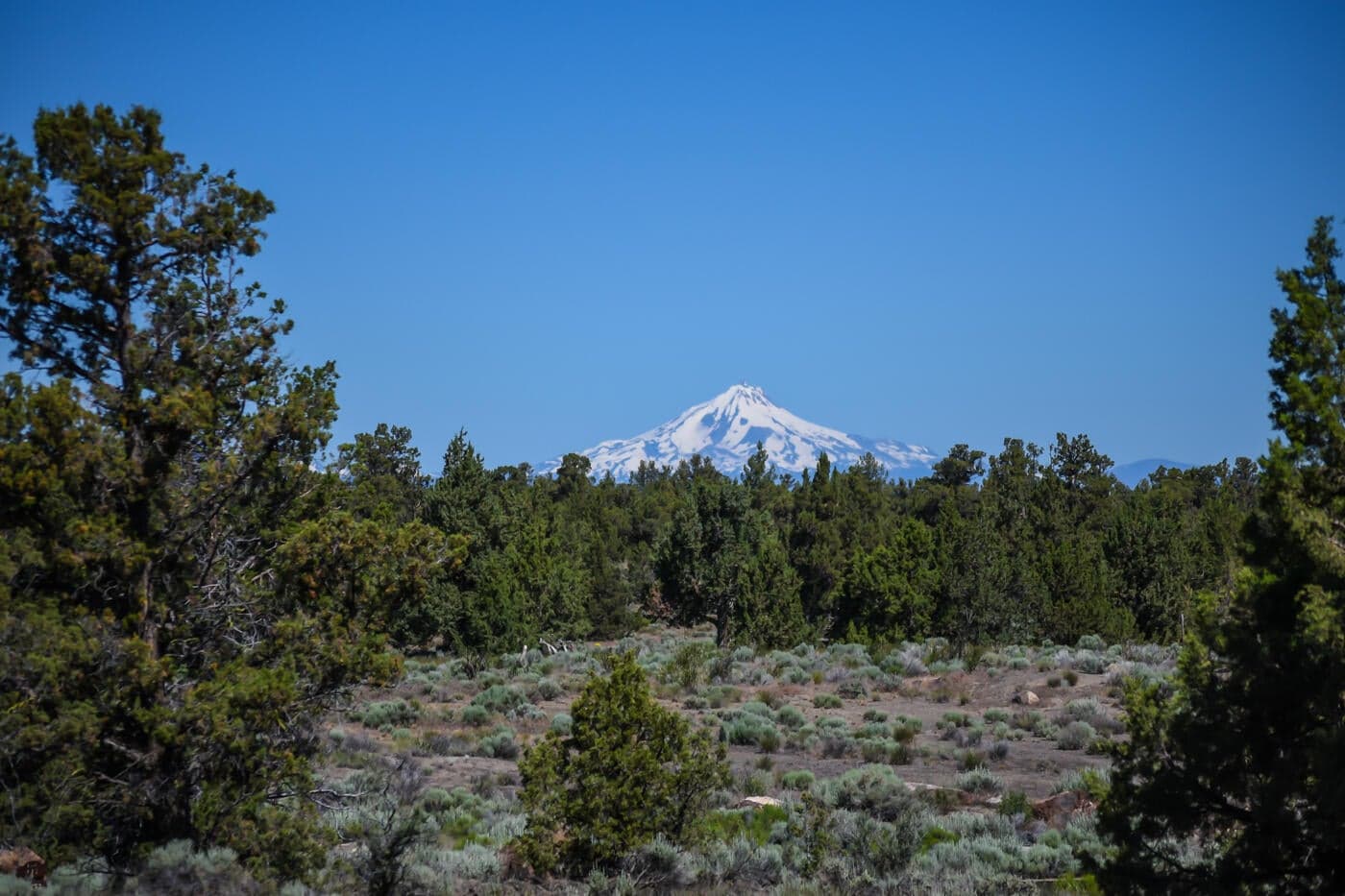 Pronghorn Estates