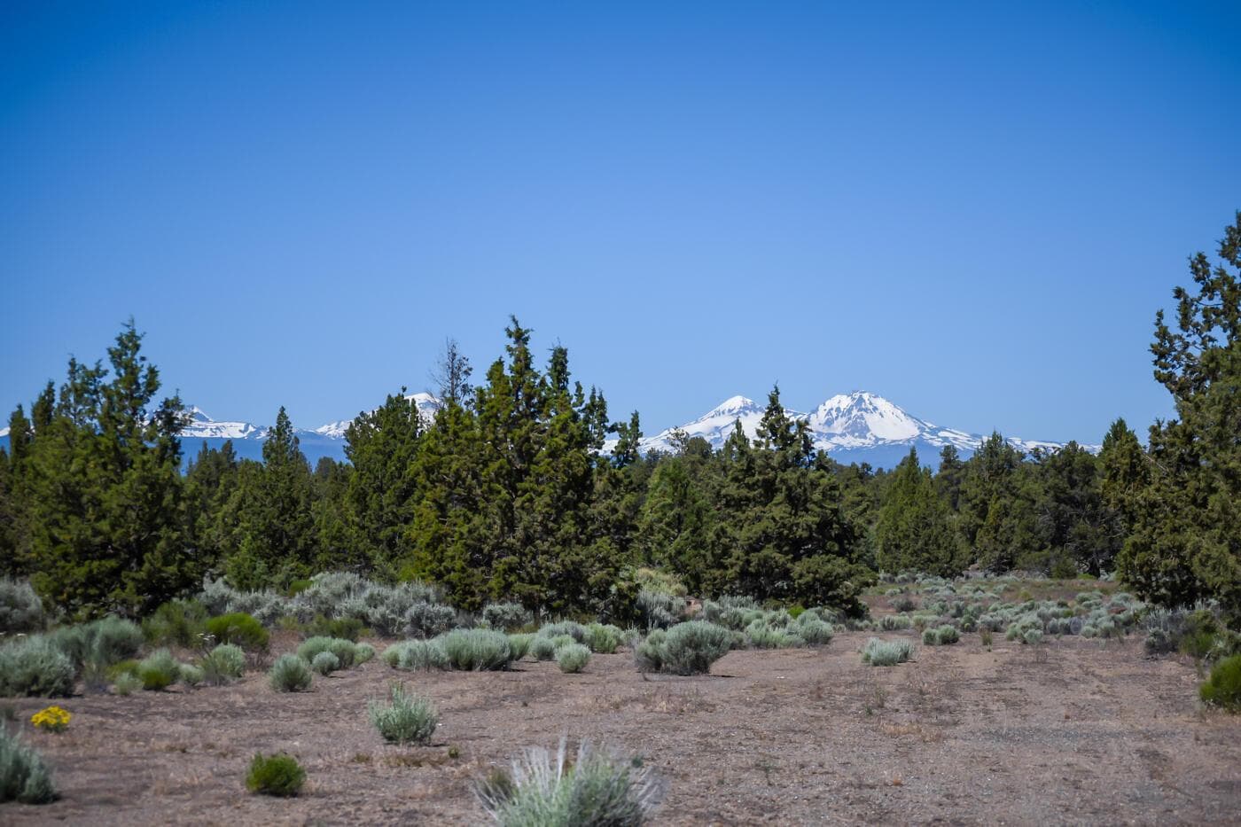 Photo of Pronghorn Estates 2 of 27