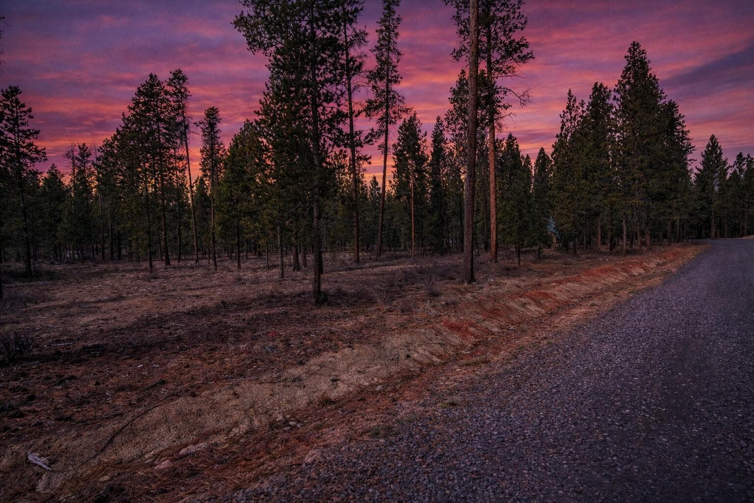 A view of the private access road leading to the 1.08-acre level lot.