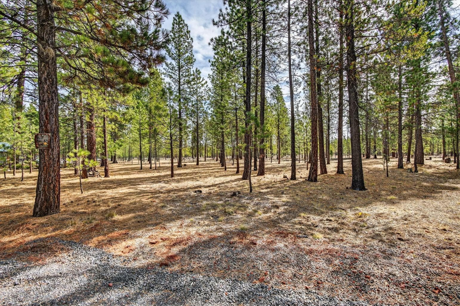 Peaceful wooded landscape offering privacy and space