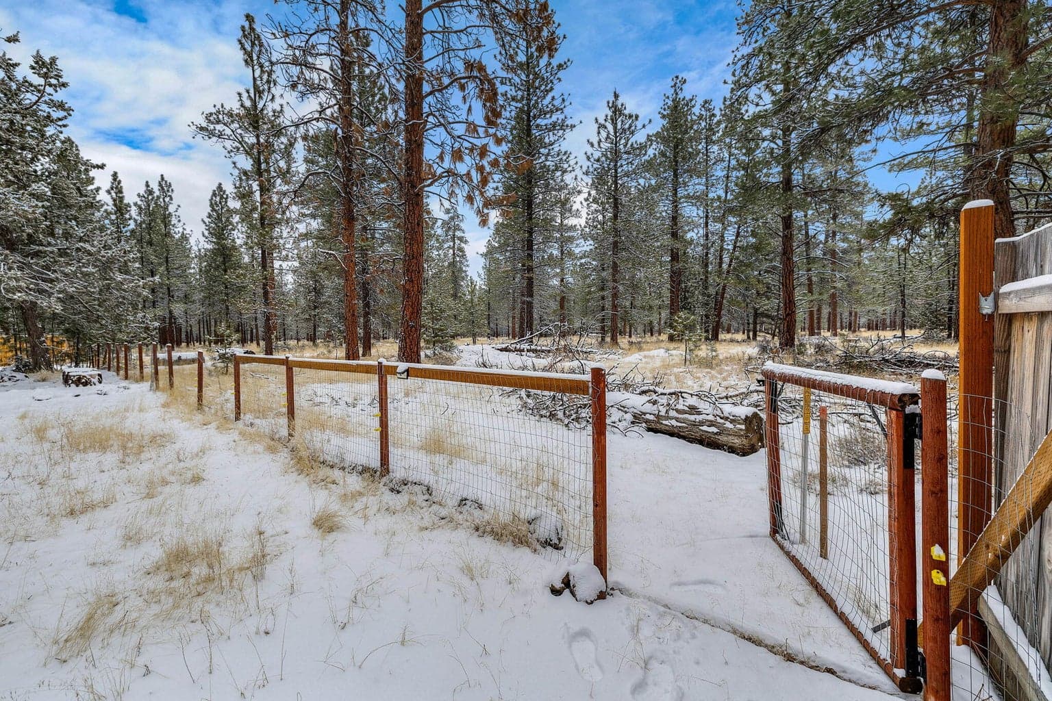 Photo of 69322 Hackamore 45 of 50
