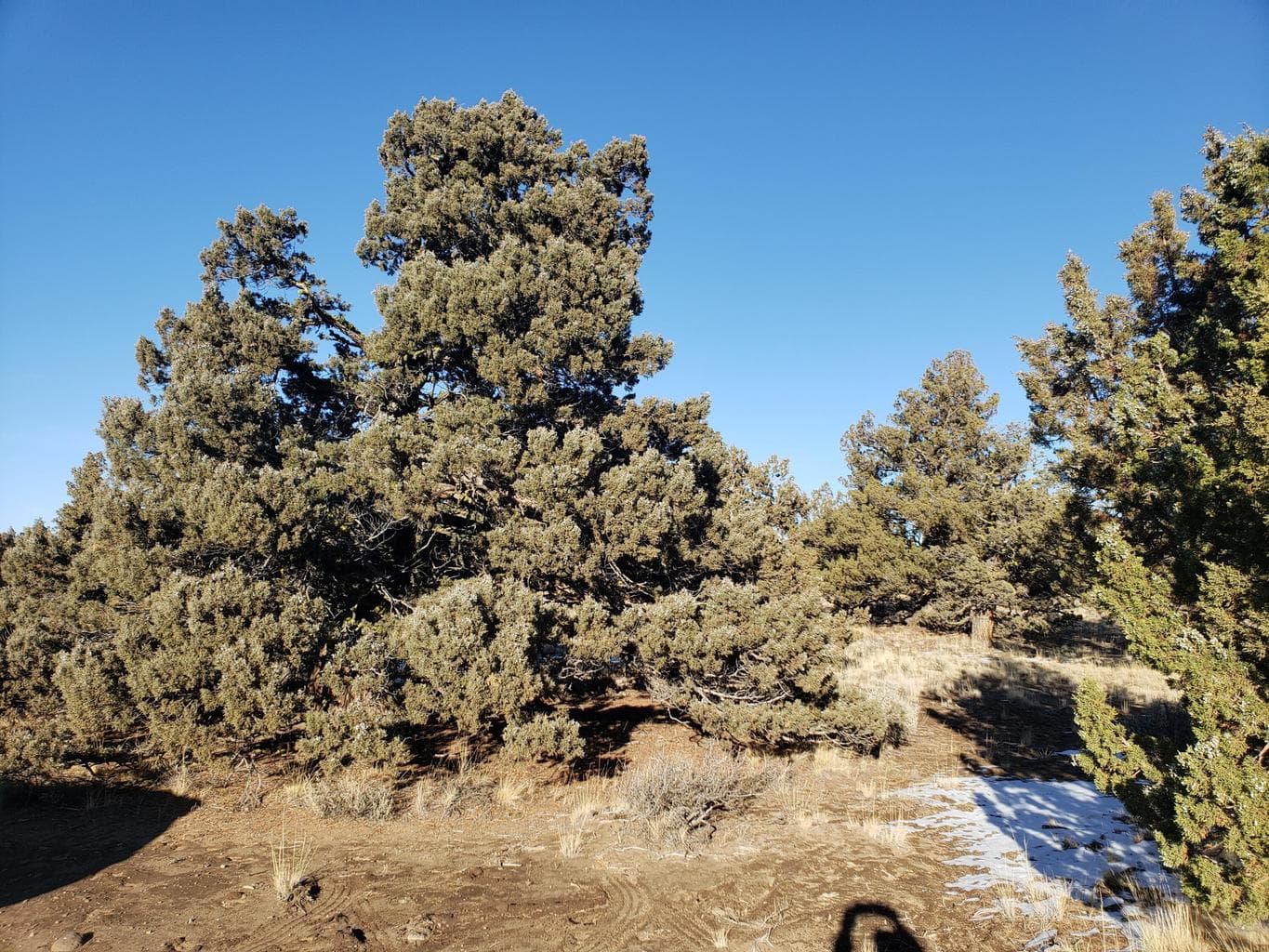 Photo of 1400 Golden View Ranch 2 of 13