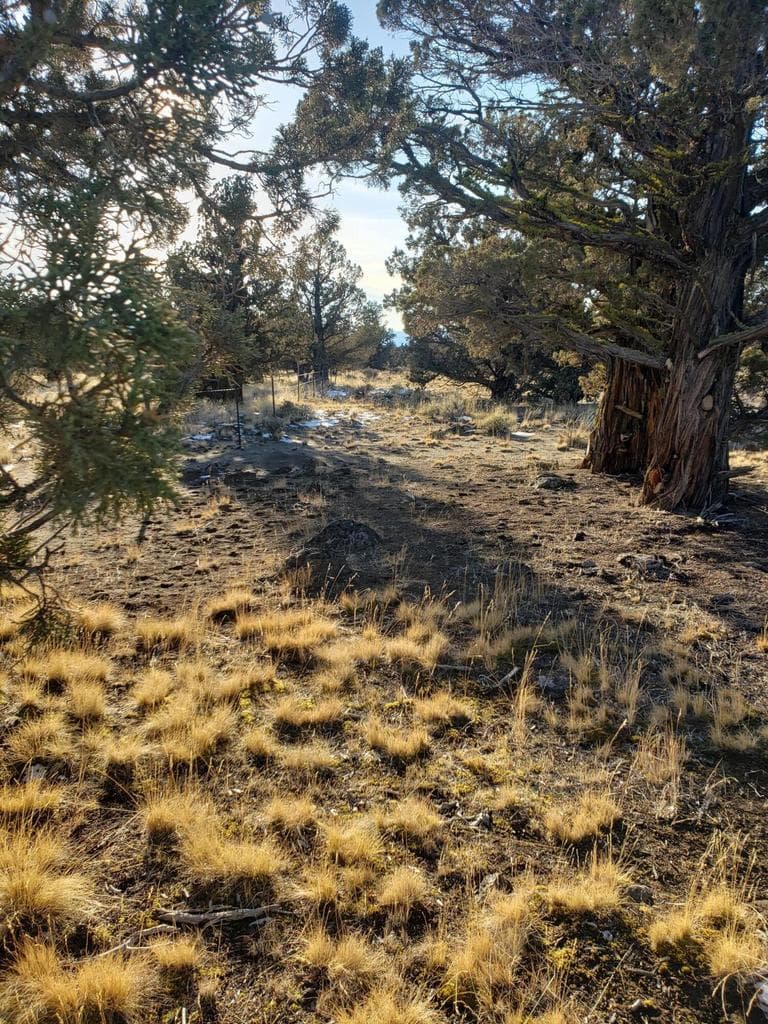 Photo of 1400 Golden View Ranch 3 of 13