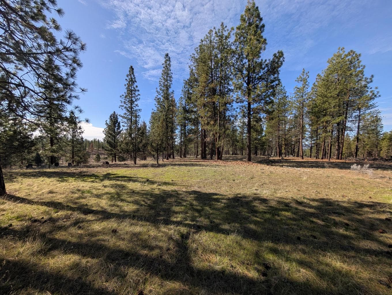 Photo of 28660 Yonna Wood 2 of 20