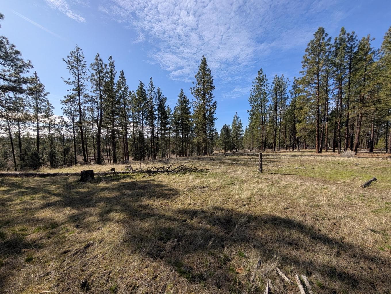 Photo of 28660 Yonna Wood 3 of 20