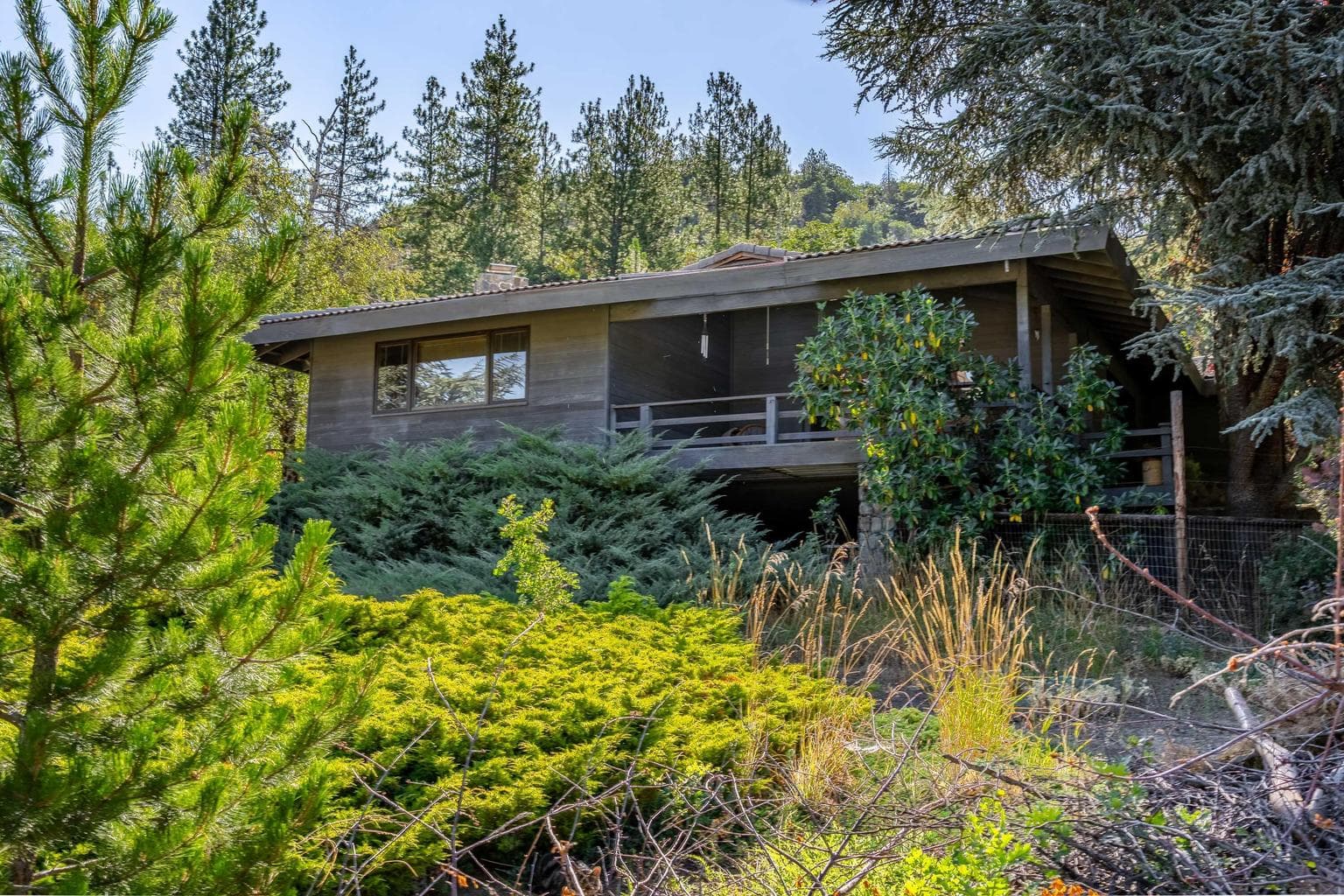 Photo of 1247 Panther Gulch 3 of 57