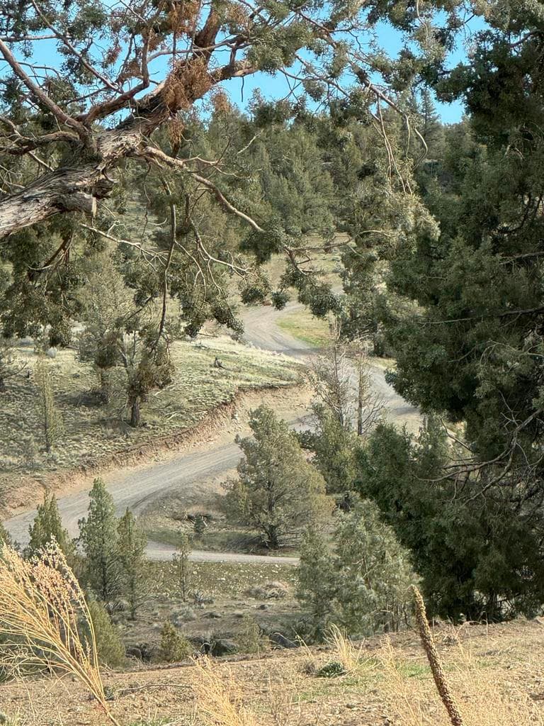 Photo of 69850 Lower Valley 4 of 16