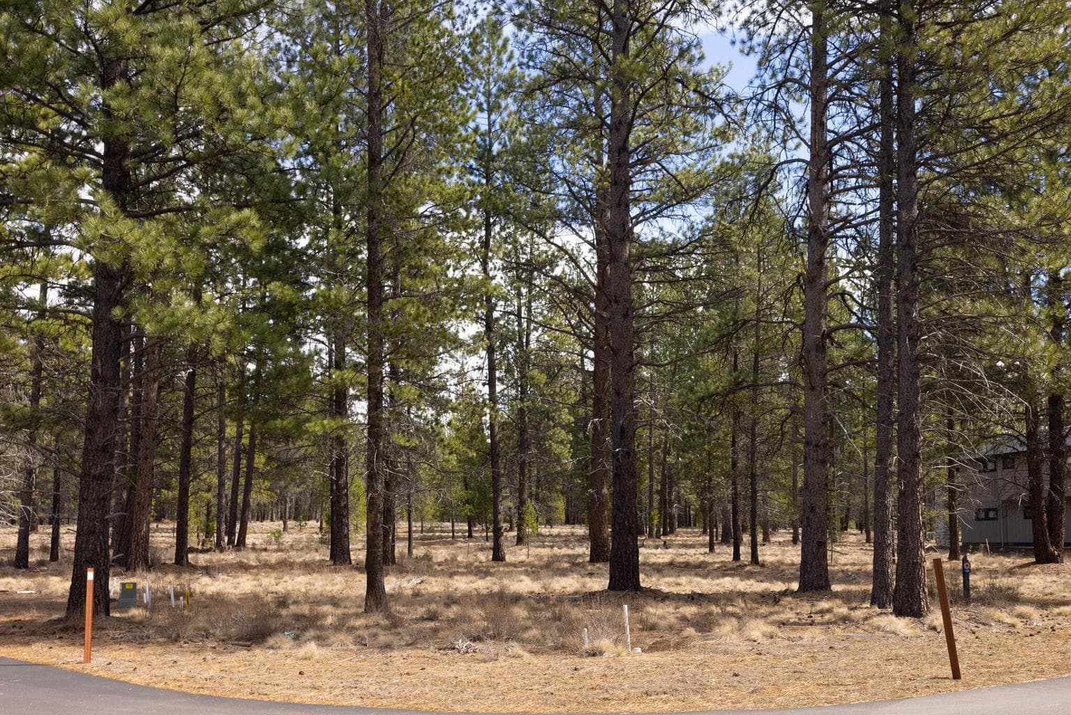 Beautifully treed, flat lot