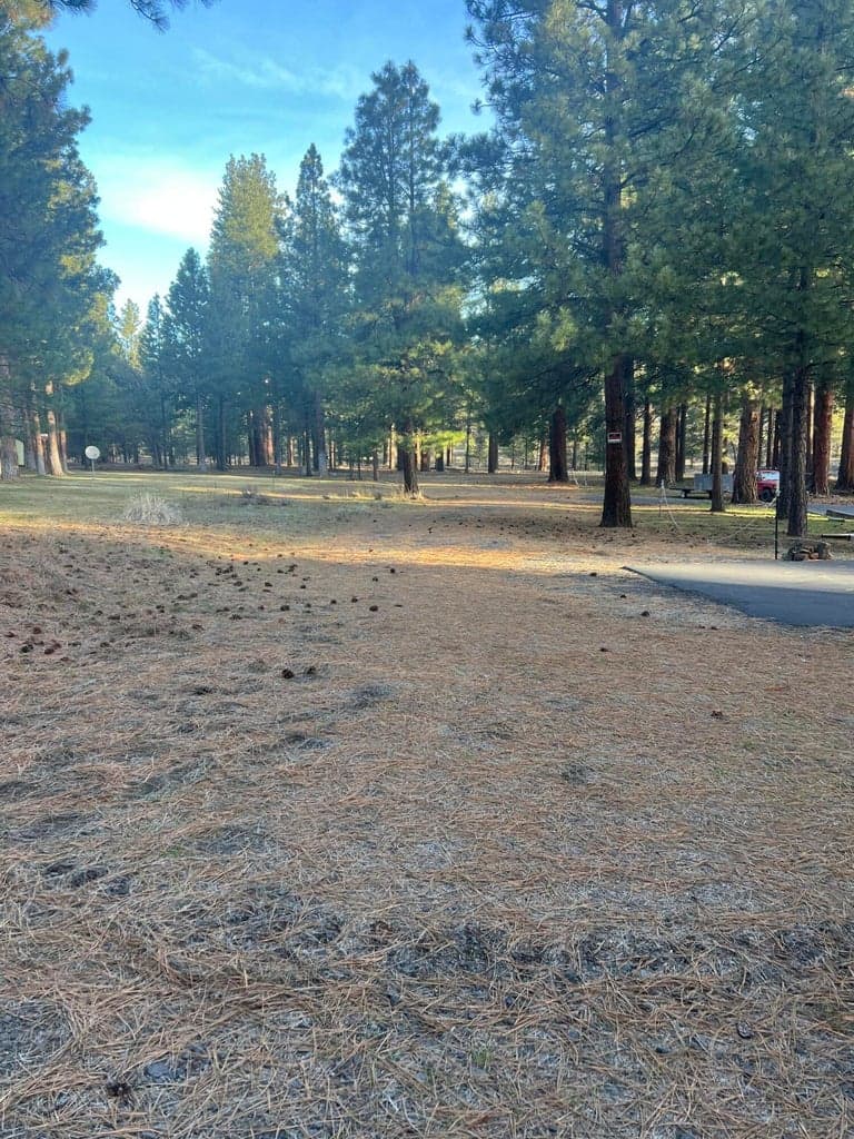 Photo of Overland 3 of 6
