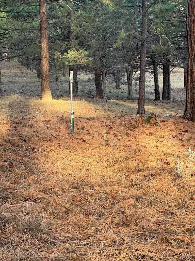 Photo of Overland 4 of 6