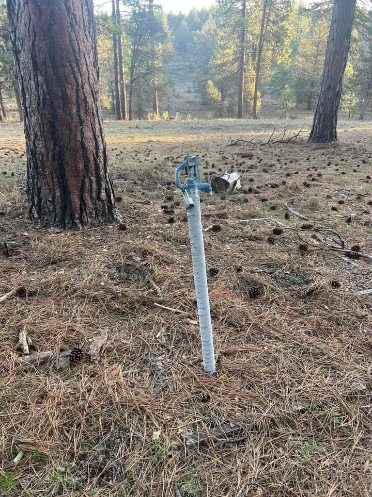 Photo of Overland 5 of 6