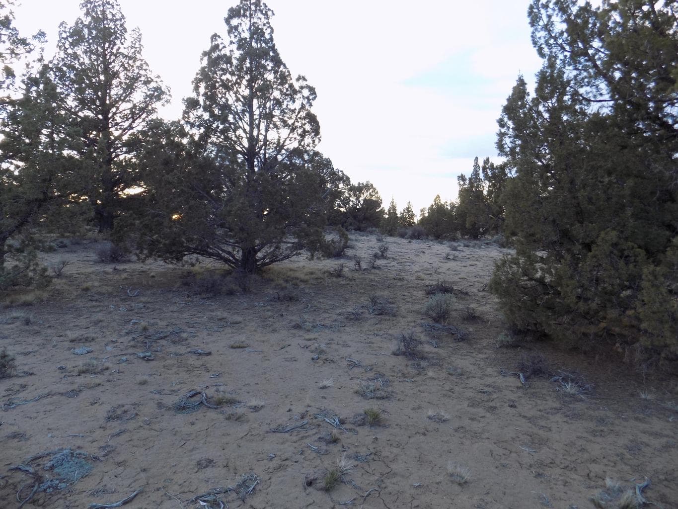 Photo of 1400 Golden View Ranch 8 of 13