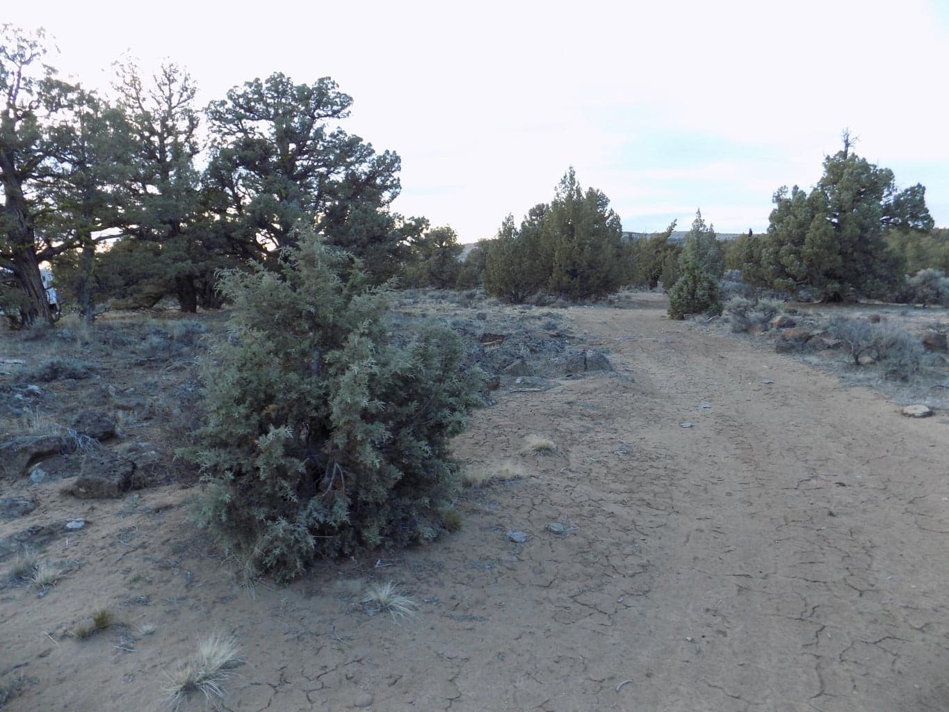 Photo of 1400 Golden View Ranch 9 of 13