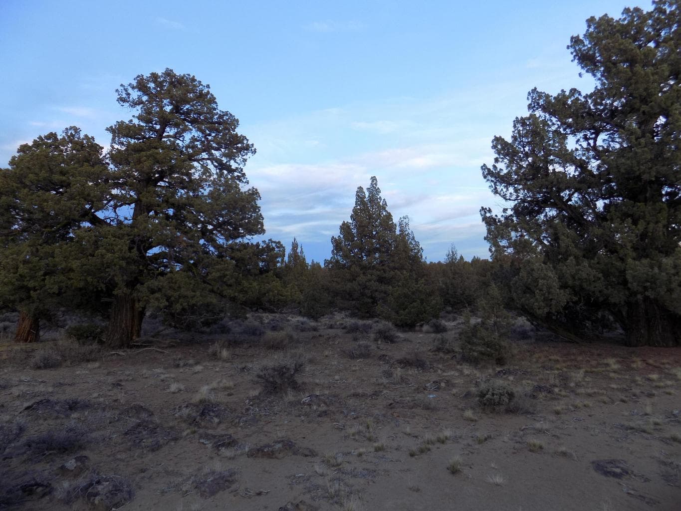 Photo of 1400 Golden View Ranch 10 of 13