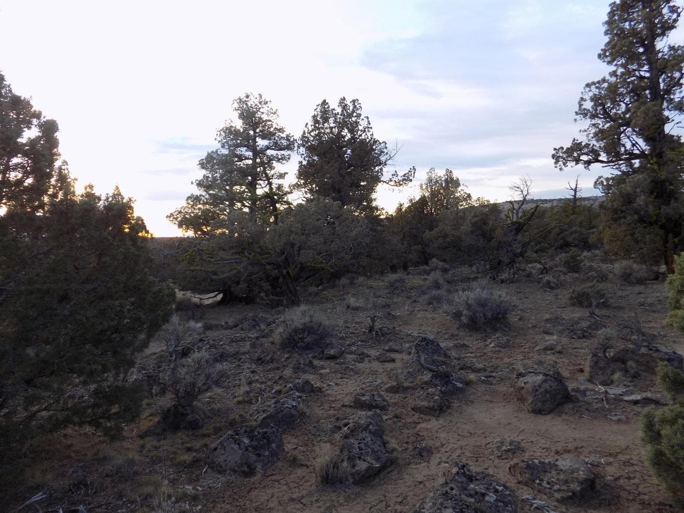 Photo of 1400 Golden View Ranch 11 of 13
