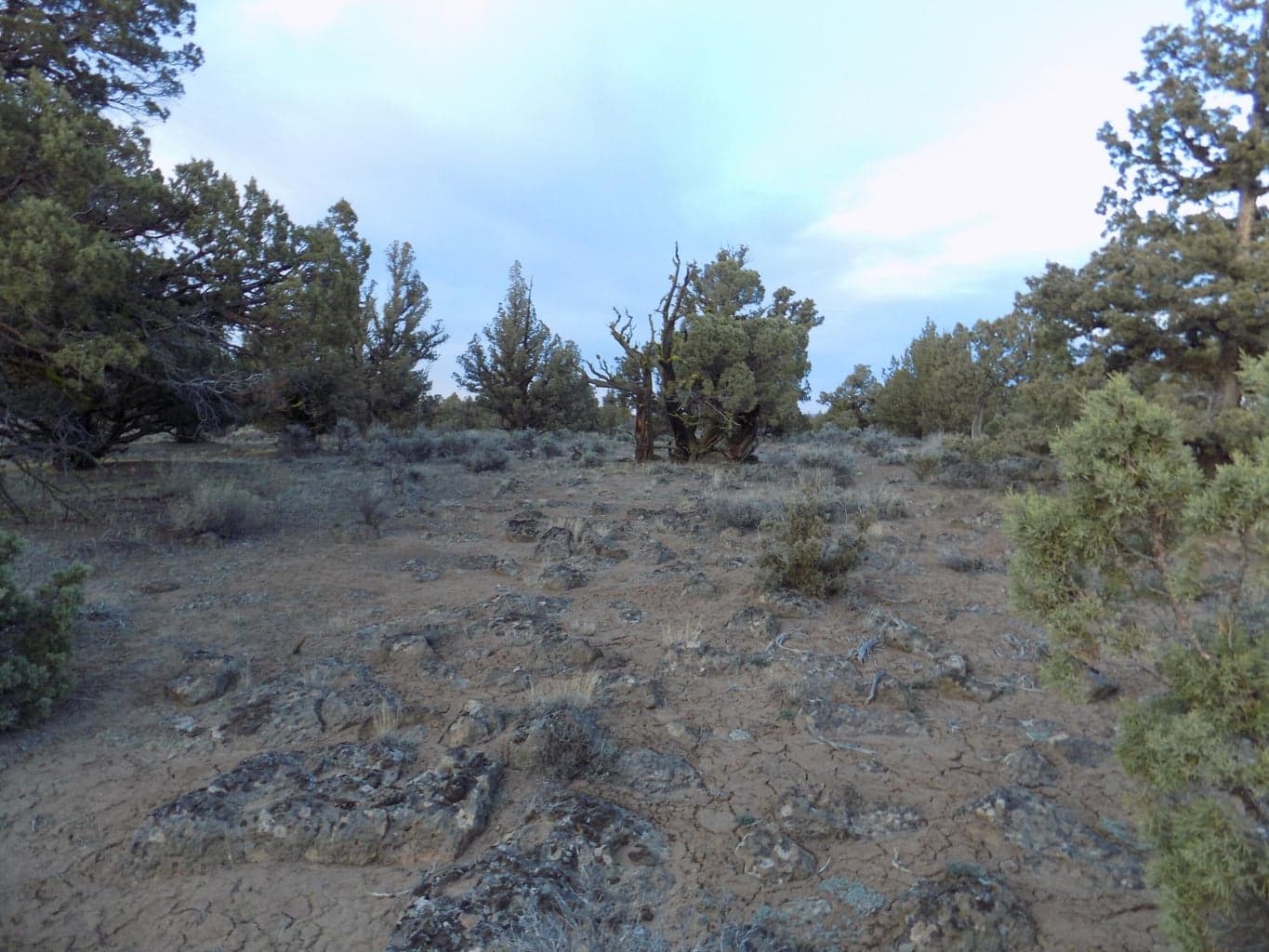 Photo of 1400 Golden View Ranch 13 of 13