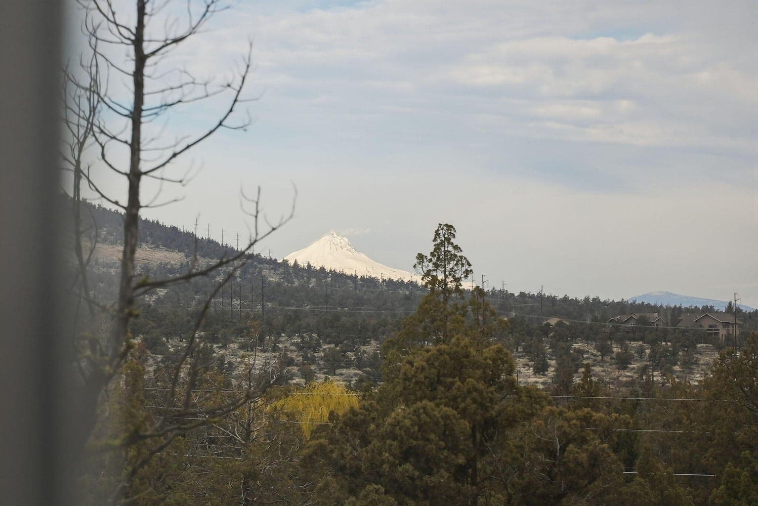 Photo of 7780 SW Wickiup Avenue 23 of 58