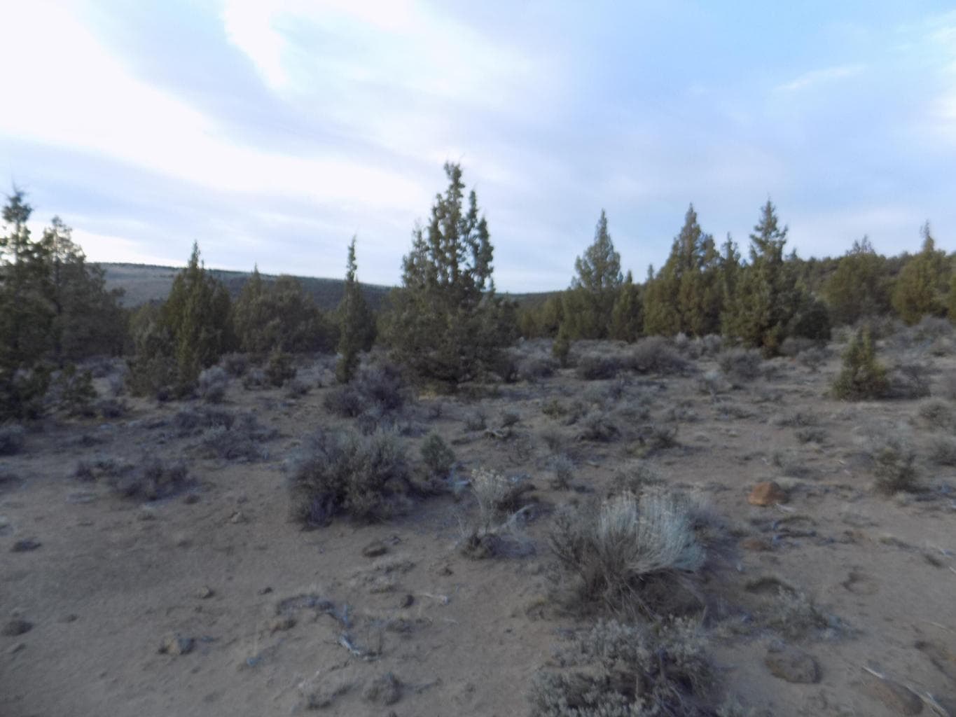 Photo of 1100 GoldenView Ranch 2 of 4