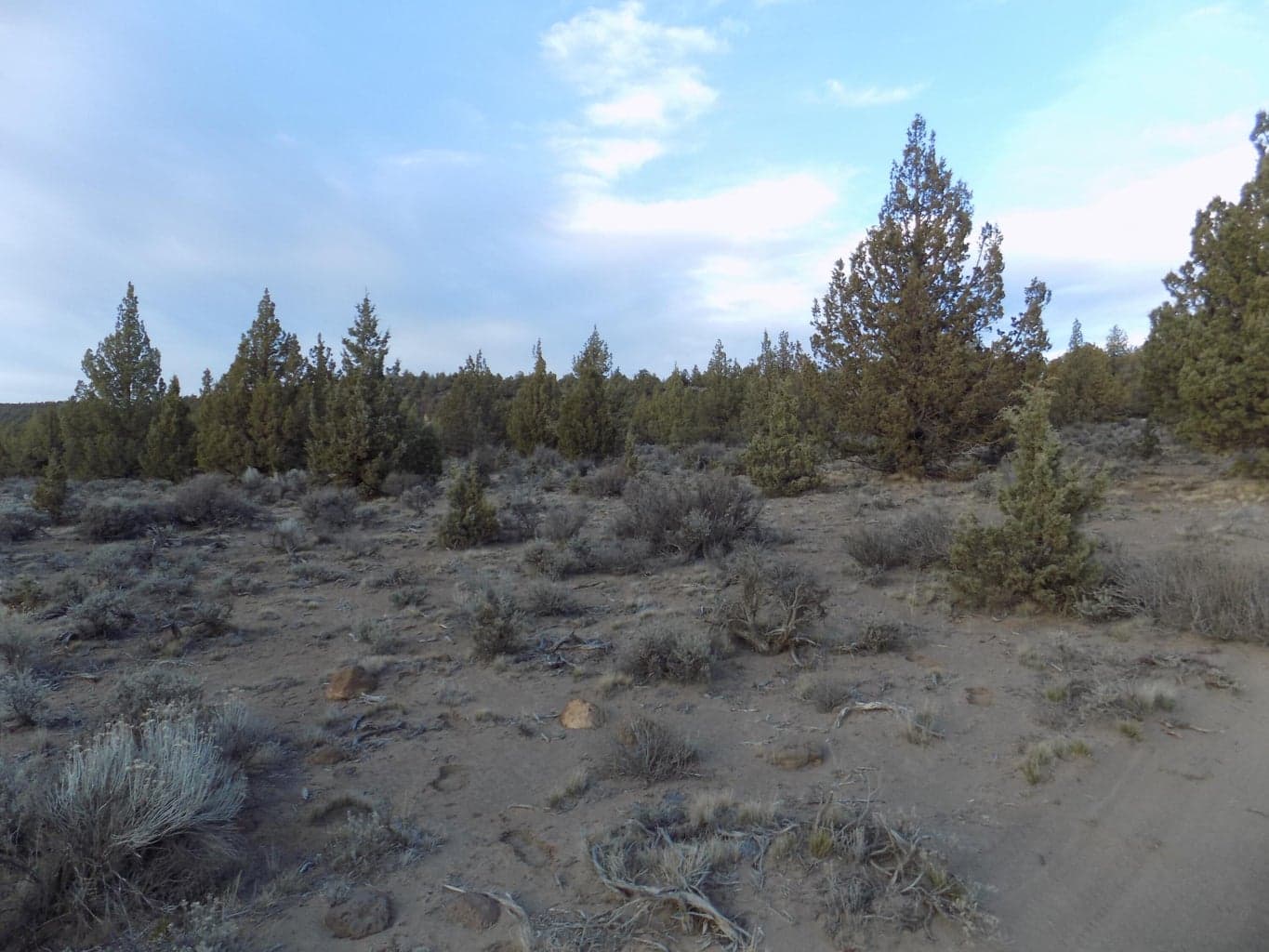 Photo of 1100 GoldenView Ranch 3 of 4